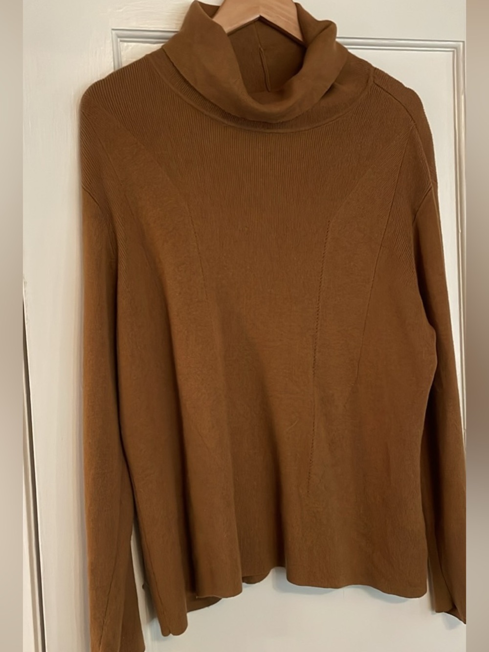 Lisa Rinna Classic Women's Turtleneck Sweater in Brown large like New